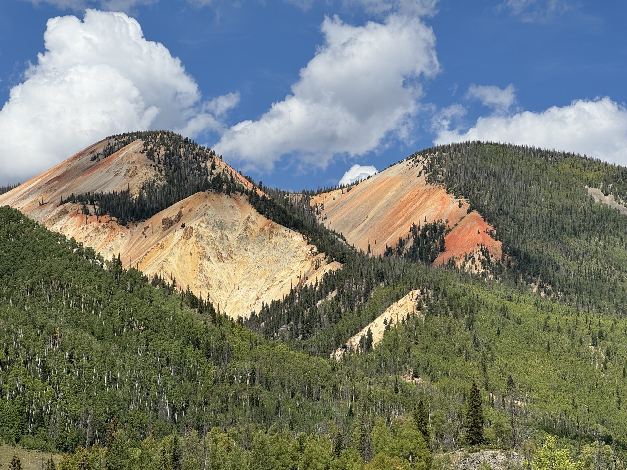 Mountains and trees